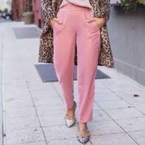 J Crew Mercantile Guava Berry Velour Easy Pants 14 NWOT